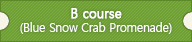 B course(Blue Snow Crab Promenade)