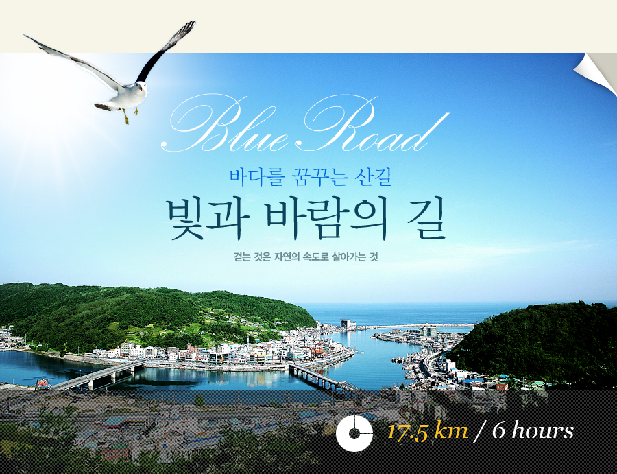 나라로드주 이미지