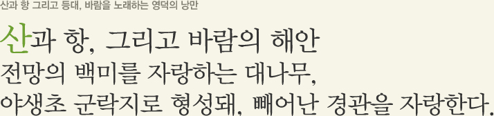 산과 항 그리고 등대, 바람을 노래하는 영덕의 낭만 산과 항, 그리고 바람의 해안 전망의 백미를 자랑하는 대나무, 야생초 군락지로 형성돼, 빼어난 경관을 자랑한다.