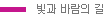 자주색 실선 빛과 바람의 길